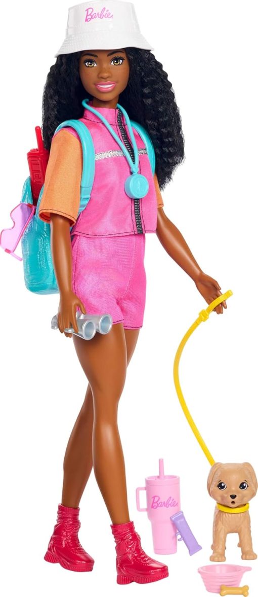 Barbie Family & Friends Barbie Brooklyn Doll and Accessories - 1