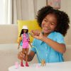 Barbie Family & Friends Barbie Brooklyn Doll and Accessories - 2