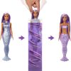 Barbie Color Reveal Mermaid Series Doll & Accessories with 6 Surprises